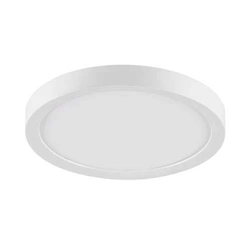 12Watt Ceiling Fixture LED Decorative Round EIN-CL59WH-1000e