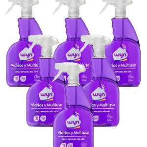 Concentrado Wyn Limpiador vidrios y multiuso 6 x 750 cc