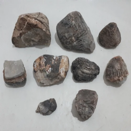 Raptor Stone 60L