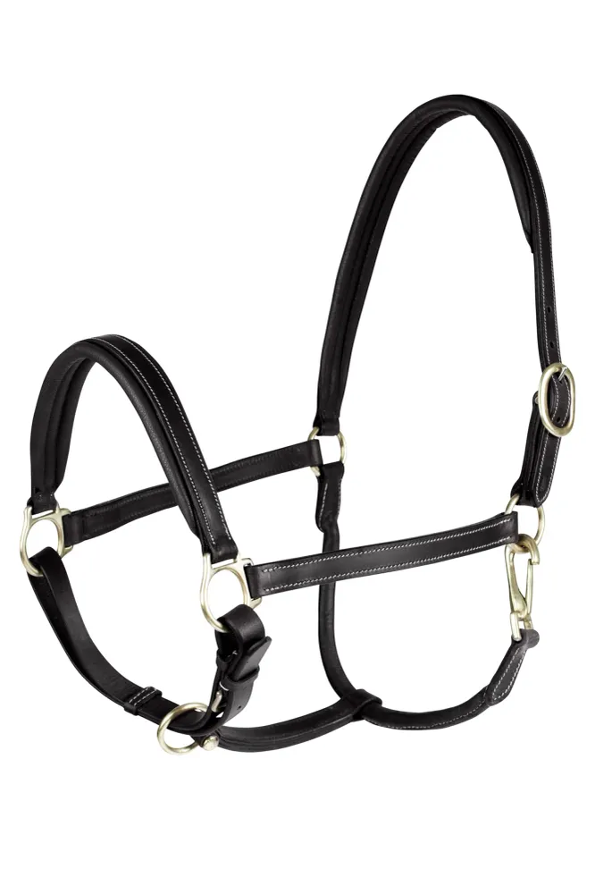 Cabezada de Cuadra de Cuero Amplio Negro C