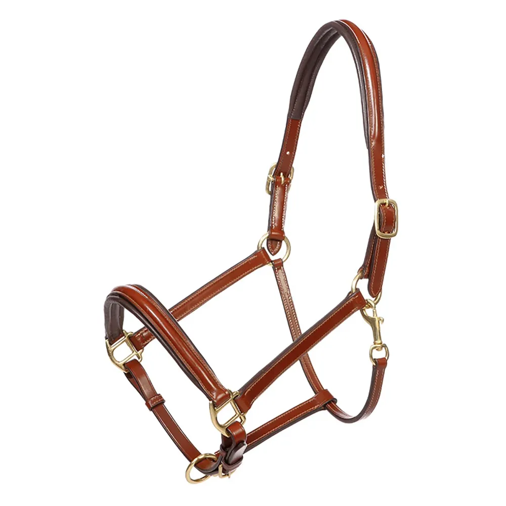 Charming Leather Halter C