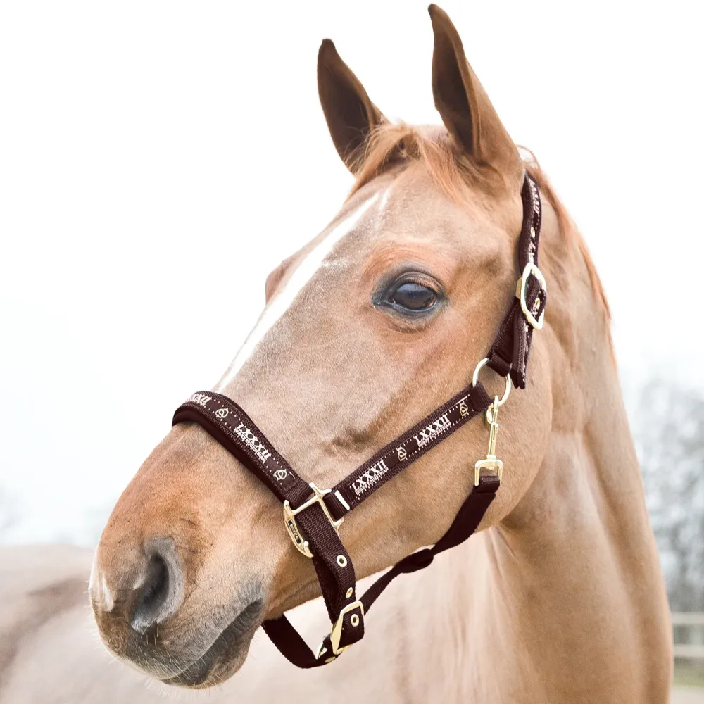 Hamptons Halter Dark Café C