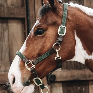 Kentucky Plaited Nylon Halter Olive Esmeralda C