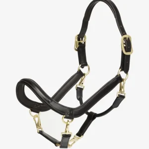Leather Grooming Headcollar Chocolate C