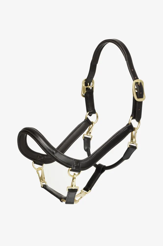 Leather Grooming Headcollar Chocolate C