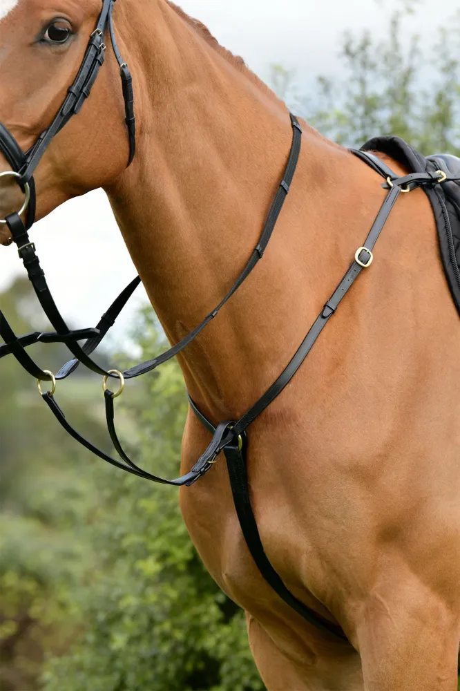 De siempre 3 Point Breastplate Running Martingale Black C