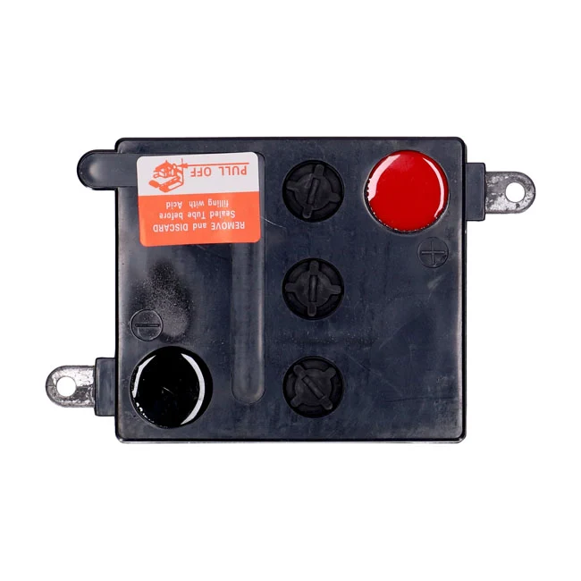 Cargador Inteligente MCS, Baterí De 6 V, 22 Ah Para Harley Davidson