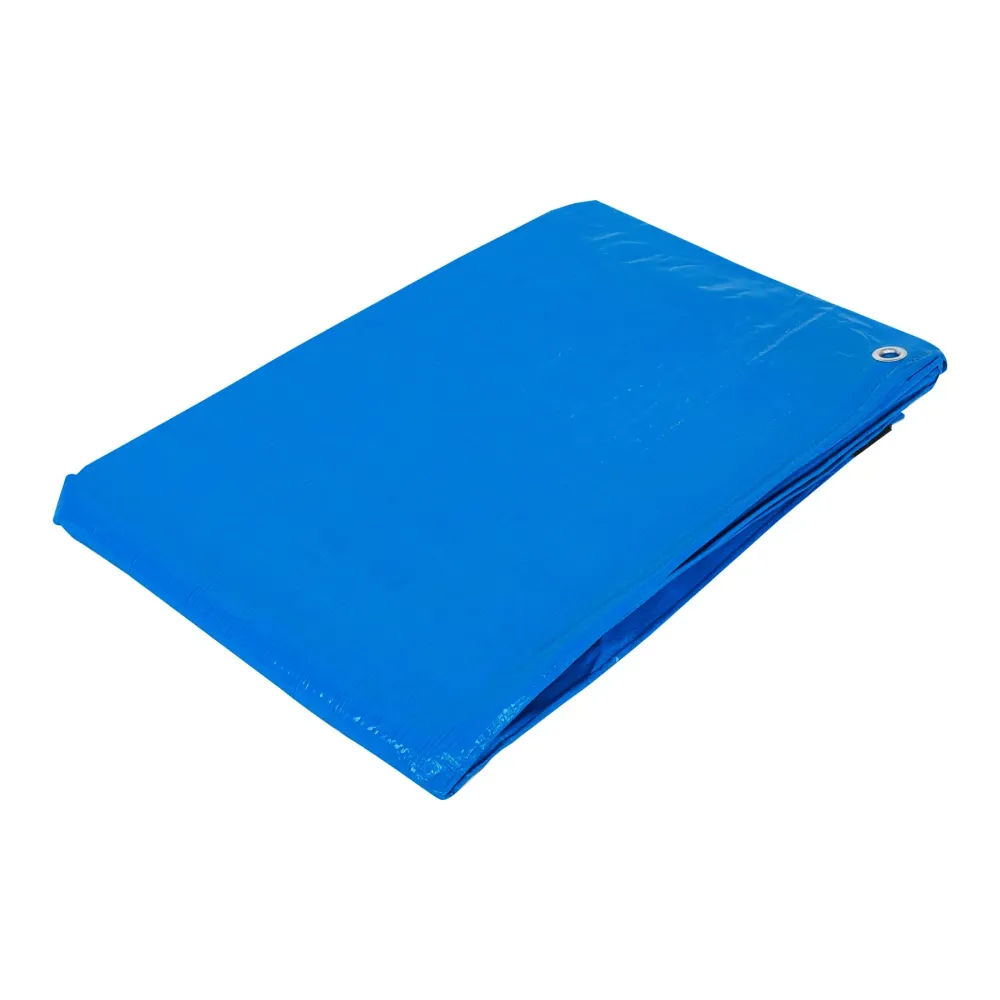 Recargables Premium Lona 3 x 6 m, azul, Pretul