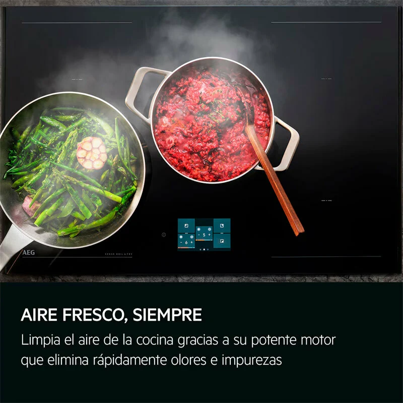Campana integrable AEG GDE689HM 90 cm con Garantí