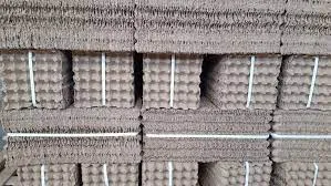 Paper Egg Trays Murukali LTD
