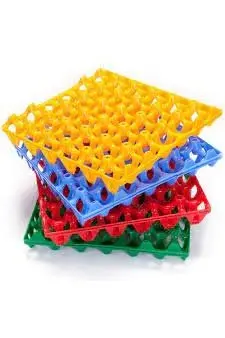 Plastic egg tray 1PC murukali ltd