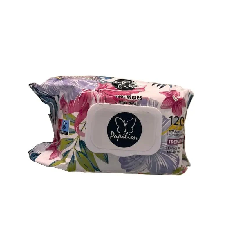 Papilion Wet Wipes 120pcs